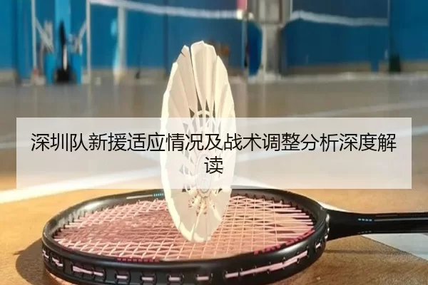 深圳队新援适应情况及战术调整分析深度解读